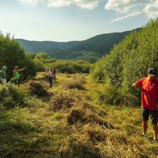 Fotogaléria