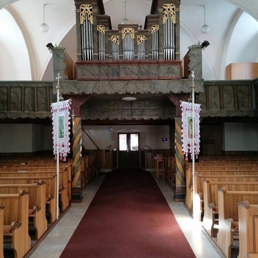 organ 1